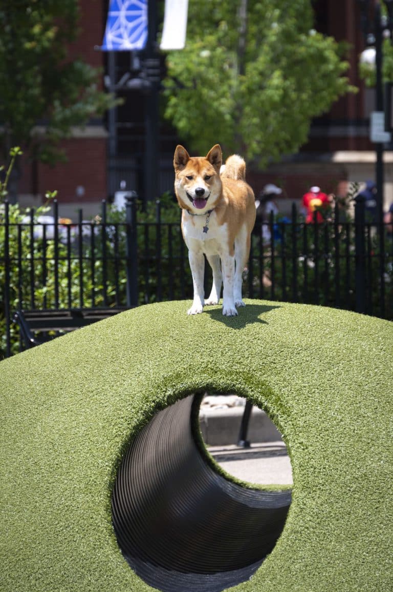 Amenities PetFriendly Shadyside Apts Industry Pittsburgh