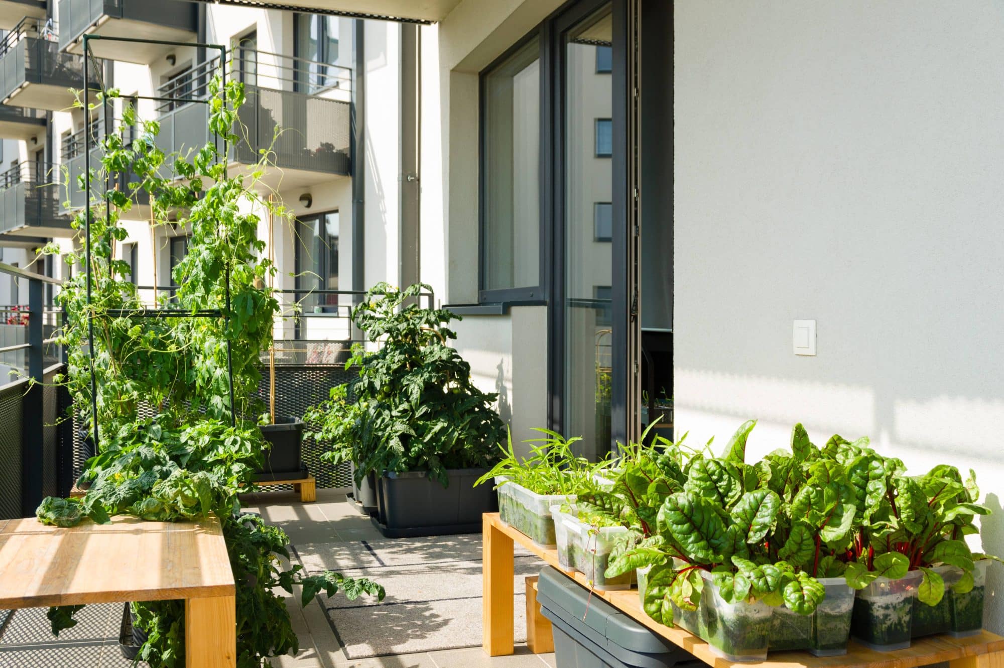 apartment balcony garden pittsburgh